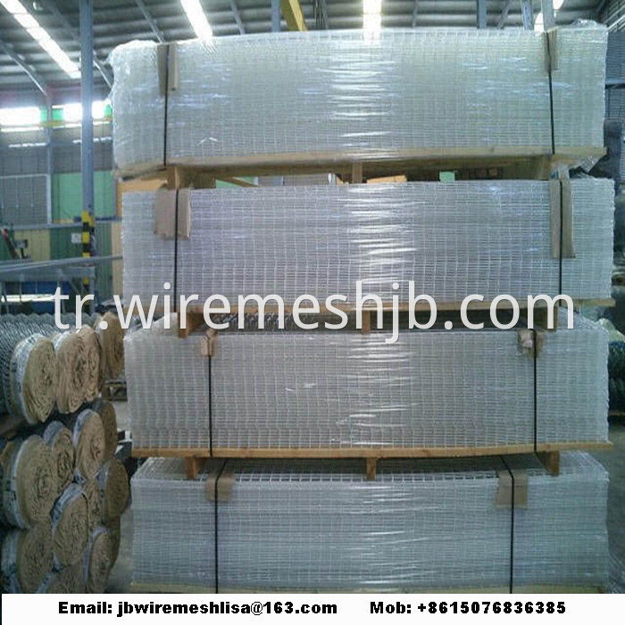 Hot-dip Galvanized Welded Wire Mesh Panel